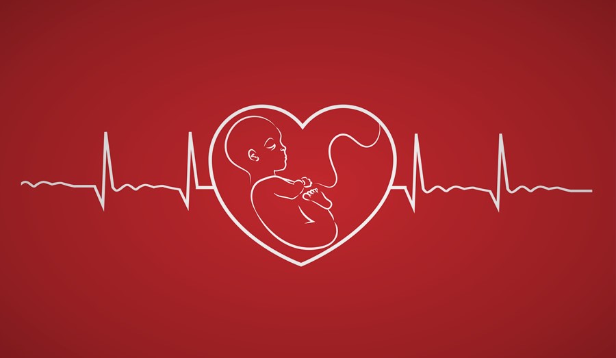 fetal heartbeat bill sc