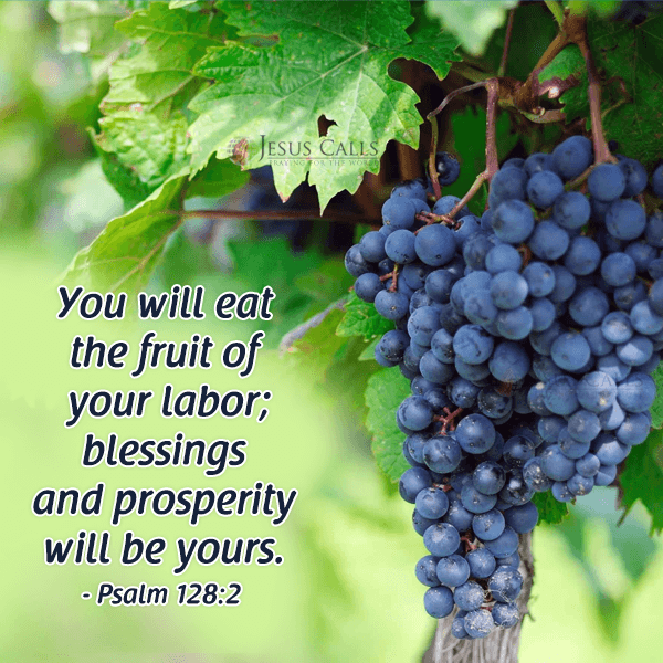 THE FIRST FRUITS OF YOUR LABOR WILL DRAW HEAVEN’S FAVOR | Intercessors ...